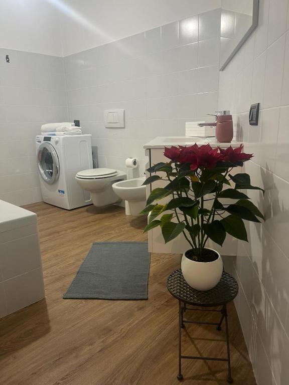 Ophelia Leon Charme&Relax - 11