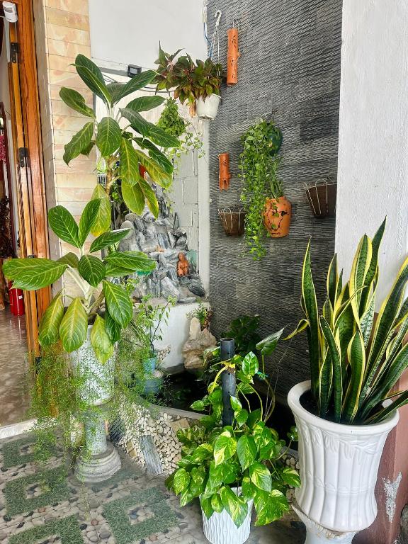 Zahrada ubytování Ngọc Nga Hotel
