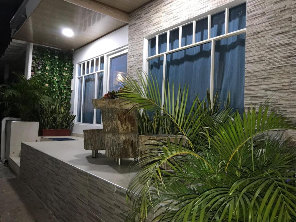Zahrada ubytování Casa_22_Melgar
