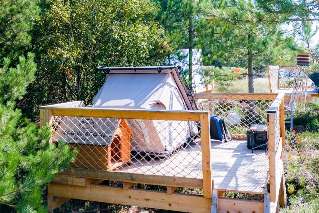 Zahrada ubytování Dünencamping Amrum