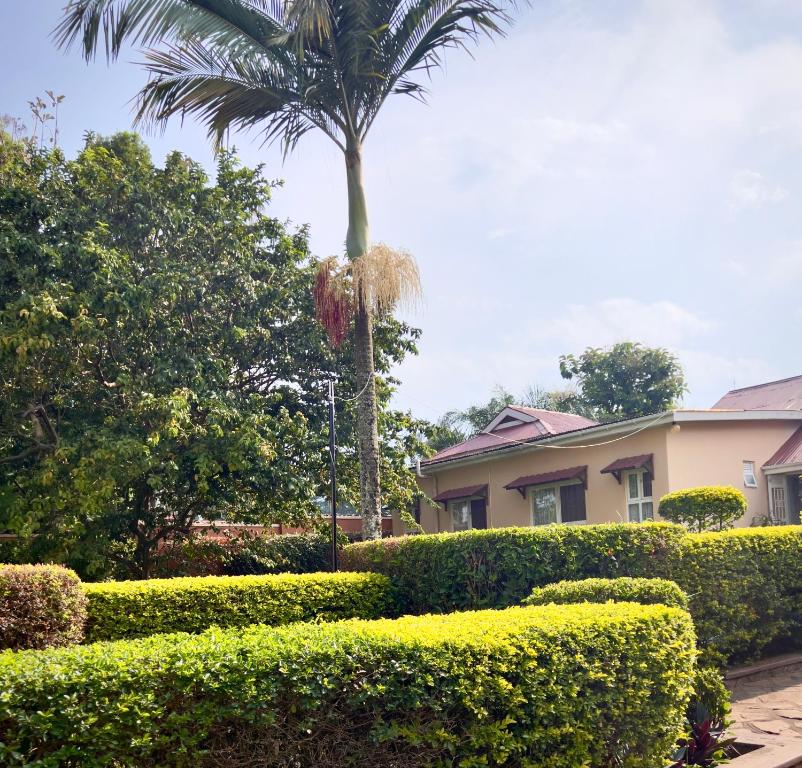 Zahrada ubytování Sunset Hotel Entebbe