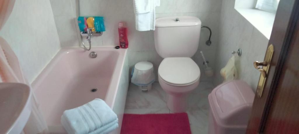 Kúpeľňa v ubytovaní Apartamentos Turísticos el Pontón