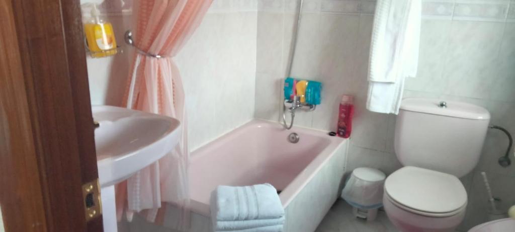 Kúpeľňa v ubytovaní Apartamentos Turísticos el Pontón