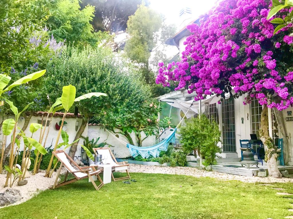 a garden with chairs and a tree with purple flowers at Roma Casal Palocco - Casa dell'artista in Casal Palocco