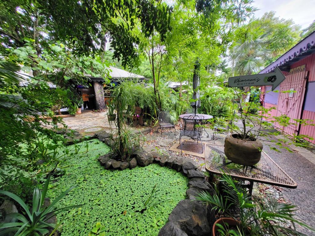 a garden with a pond in the middle of a yard at Tillett Gardens Guest House & Hostel in St Thomas