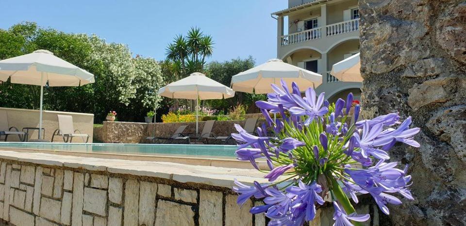 Bazén v ubytování Hibiscus Suites - A nebo v jeho okolí