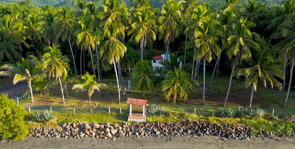 una señal frente a un montón de palmeras en Sugarloaf Beach House & Surf Lodge, en El Cuco