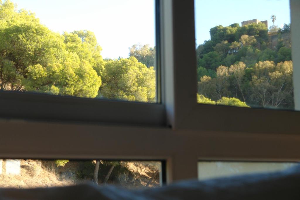 Príroda v okolí apartmánu