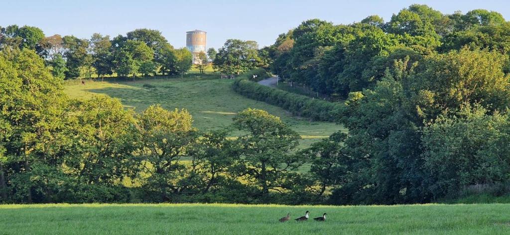 a group of people running in a field with trees at Luxury Converted Water Tower In Yorkshire in Emley