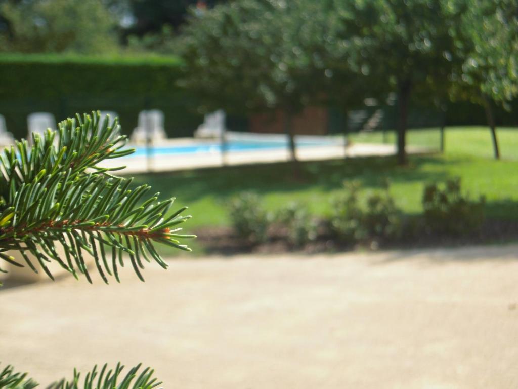 Bazén v ubytování Le Relais de la Sans Fond nebo v jeho okolí