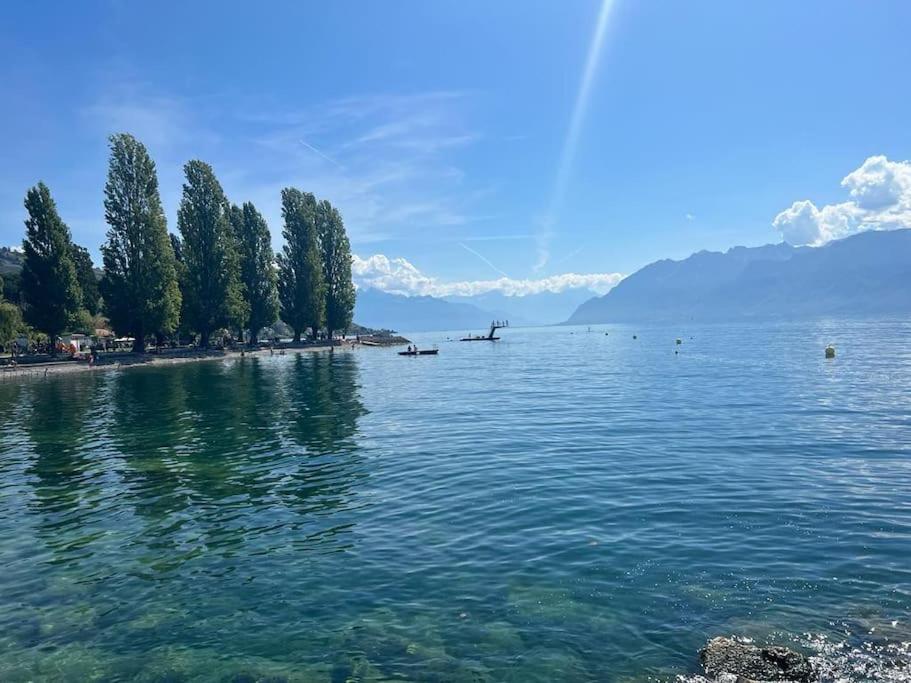Walking steps from Lake Geneva في لوتري: كميه كبيره من المياه فيها اشجار وشاطئ