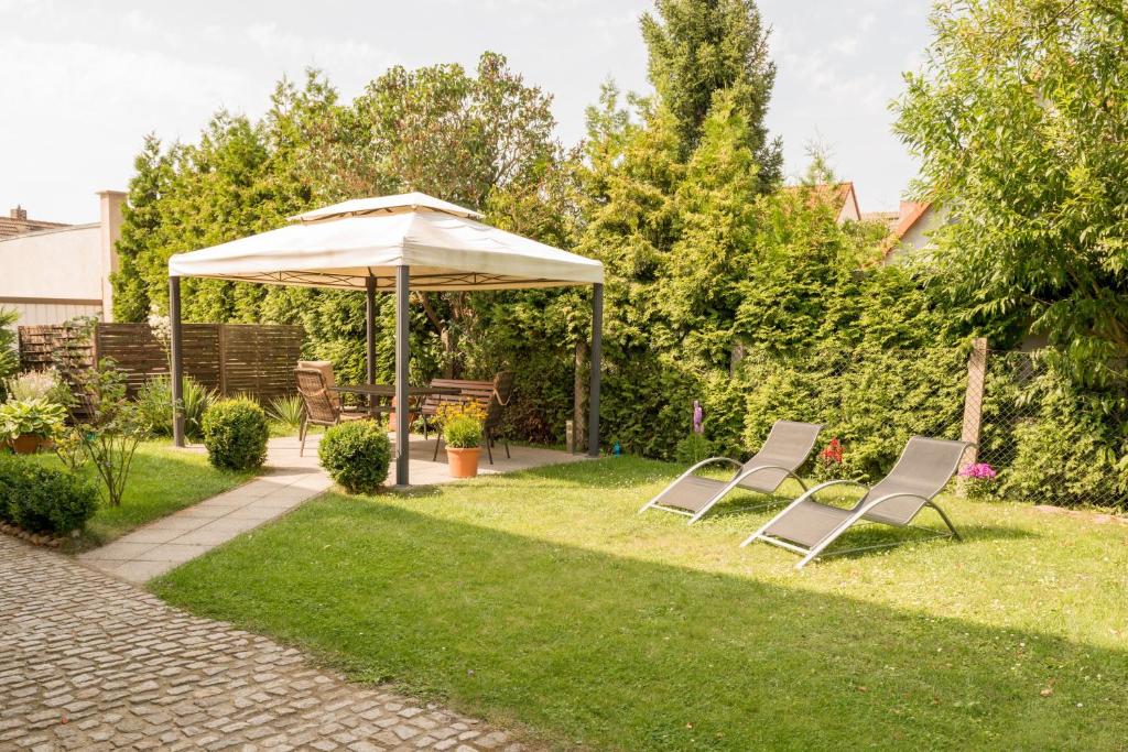 zwei Stühle und ein Regenschirm auf einem Hof in der Unterkunft Ferienwohnung Dahlenwarsleben in Dahlenwarsleben