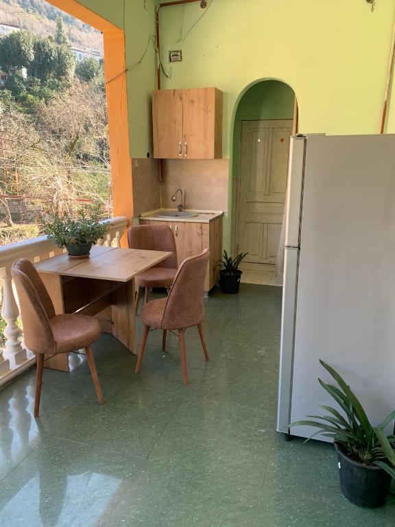 Kuchyň nebo kuchyňský kout v ubytování Guesthouse Tornike