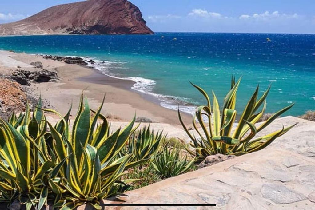 a view of a beach with some plants on it at Sol & Mar in El Médano