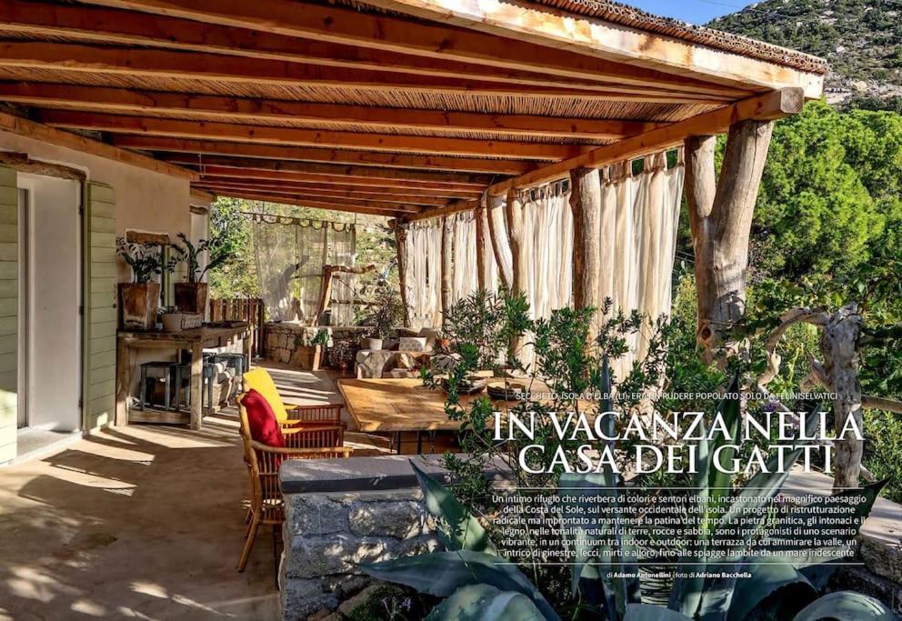 eine Terrasse mit einer hölzernen Pergola sowie einem Tisch und Stühlen in der Unterkunft la Casa dei Gatti a Seccheto, una chicca in Seccheto