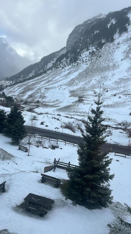 a snow covered field with a pine tree and a road at Apartamento Riglos2 Candanchu in Candanchú