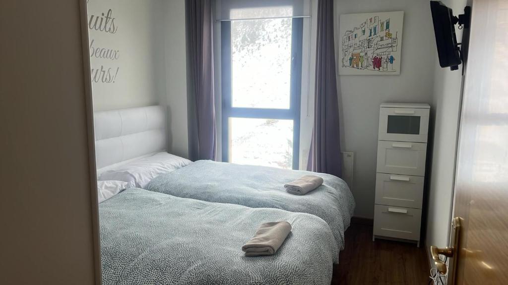 坎丹奇奧的住宿－Apartamento Riglos2 Candanchu，一间卧室设有两张单人床和一个窗户。