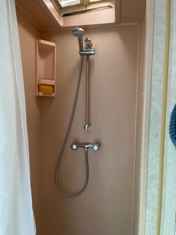 una ducha con una manguera pegada a la puerta del baño en La caravane de Maminou en Stavelot