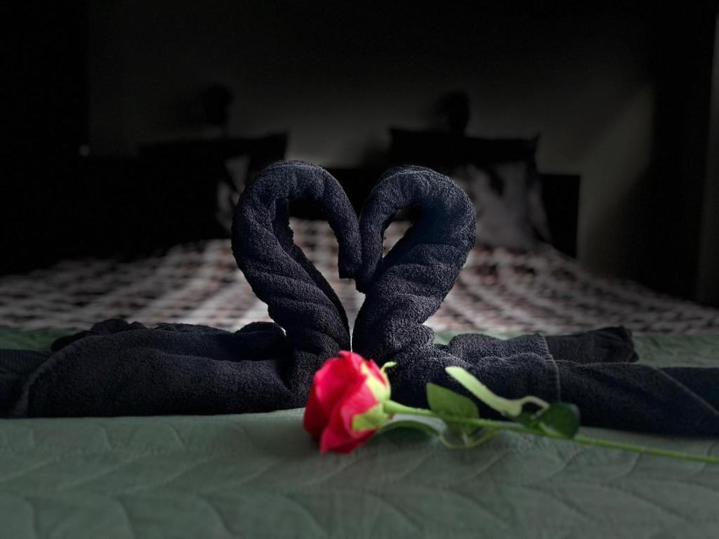 twee zwanen gemaakt van handdoeken op een bed bij Luxe Studio Liemers in Lelystad