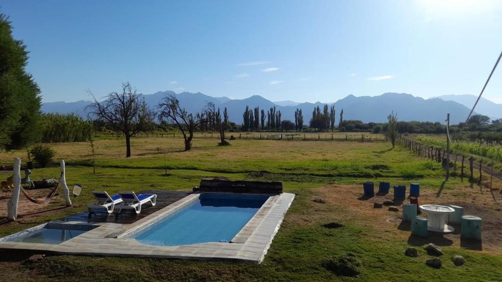 ein Pool auf einem Feld mit zwei Gartenstühlen in der Unterkunft Encuentro de Almas (Soulmate Encounter) in Tinogasta