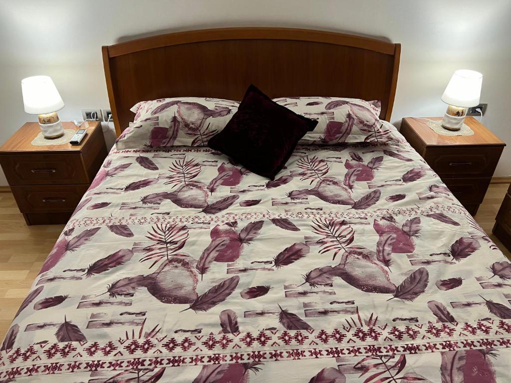 Whole flat near Shkodra lake - Image 2