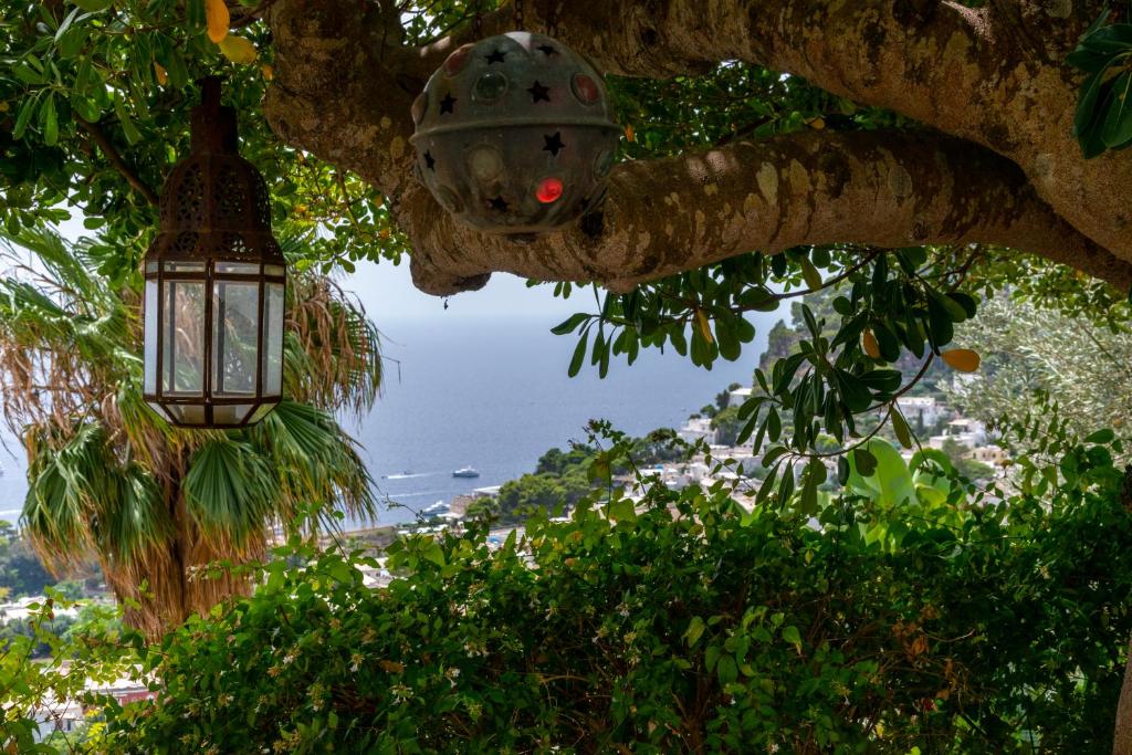 una lámpara colgando de un árbol con el océano en el fondo en Beautiful Villa with View in the heart of Capri, en Capri
