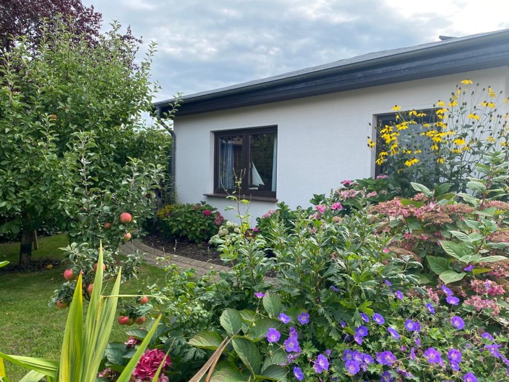 Zahrada ubytování Urlaub im "Kiek In" Ferienhaus, "Seegras"