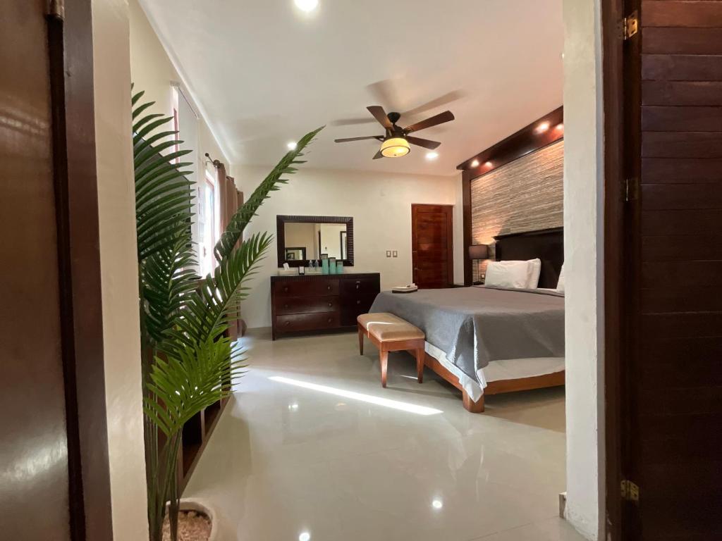 El Zaguán Colonial by GuruHotel - King Suite Con Bagno Spa