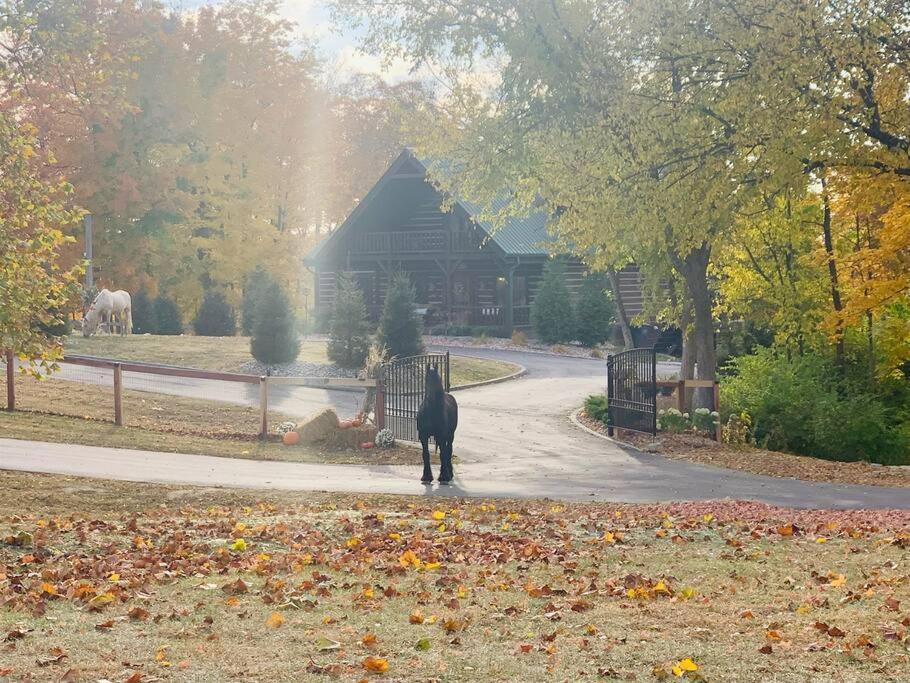 un perro negro caminando por un camino delante de una casa en Large Log Cabin Chalet w/ Hot Tub - Horses & Lake!, en Loveland