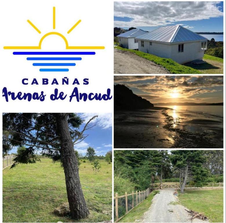 a collage of four pictures of a house and a tree at Arenas de Ancud in Ancud
