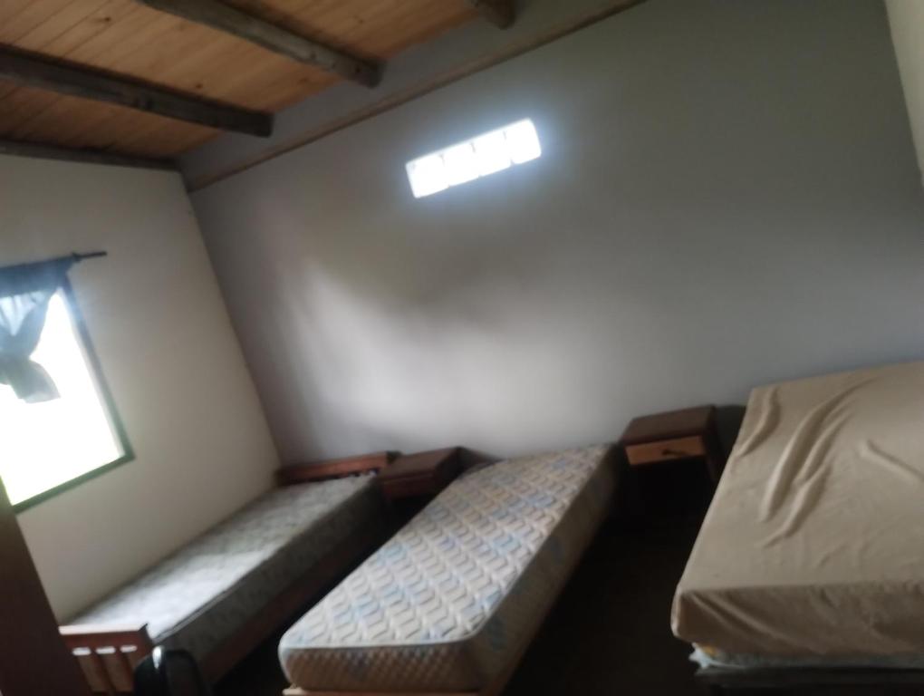 Giường trong phòng chung tại Raiz