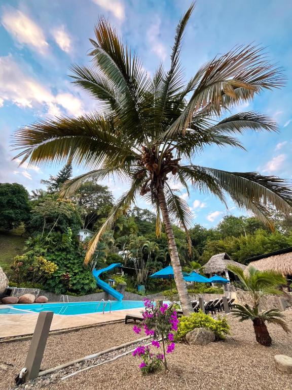 Bazén v ubytování Jungla EcoLuxury Resort nebo v jeho okolí