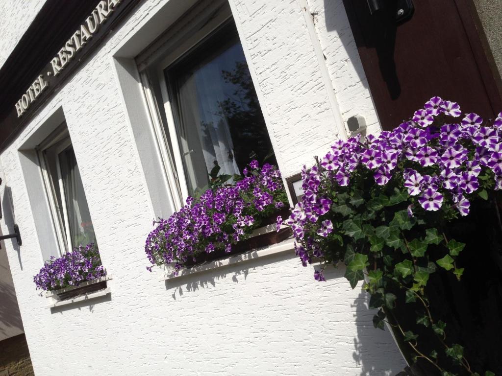 Fotografie z fotogalerie ubytování Hotel Domhof v destinaci Soest