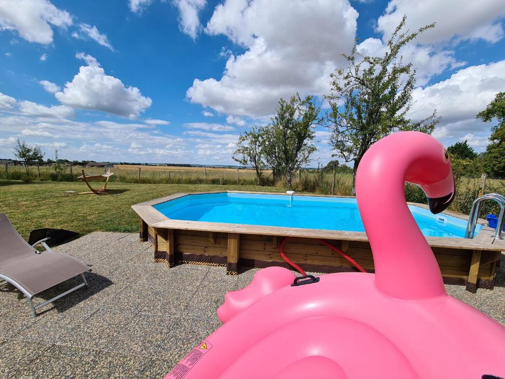 a pink inflatable swan in front of a pool at Charmante Longère avec Terrasse et Piscine Chauffée, proche châteaux et zoo, en pleine nature - FR-1-591-240 in Saint-Lactencin
