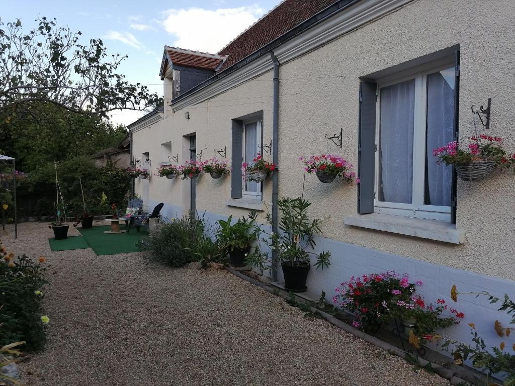 a house with potted plants on the side of it at Gîte Val-Fouzon, 3 pièces, 5 personnes - FR-1-591-345 in Val-Fouzon