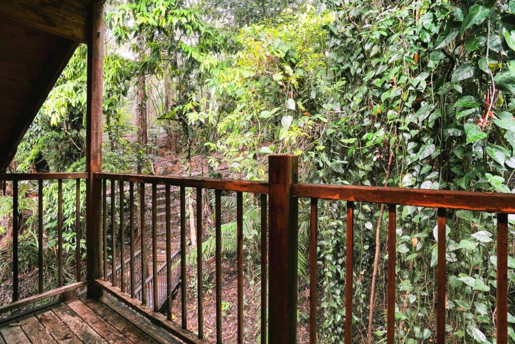 Balkón nebo terasa v ubytování Kuranda Rainforest Chalet