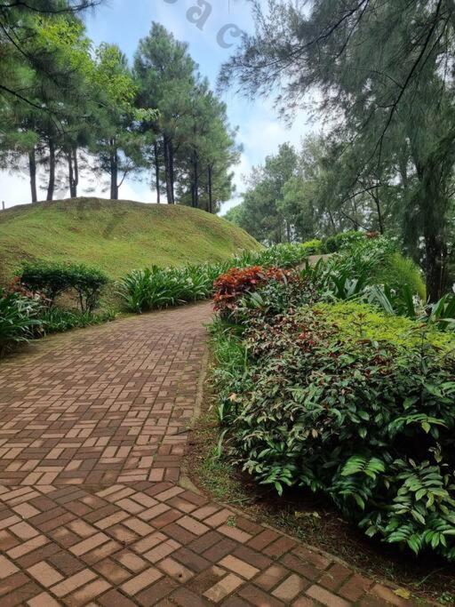 Zahrada ubytování Staycation @ Crosswinds Tagaytay