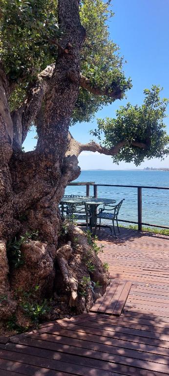 a tree and a picnic table next to the ocean at Driftwood Beach Villa in Gordonʼs Bay
