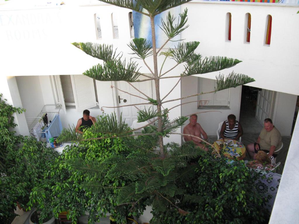 Alexandra's Rooms - 8