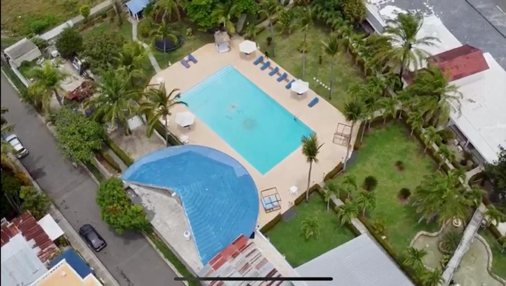 an overhead view of a swimming pool with palm trees at DIVERSITY HOTEL in Sosúa