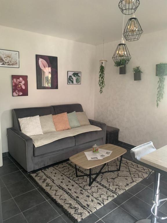 un salon avec un canapé et une table dans l'établissement Welcome Appart Colmar, à Colmar