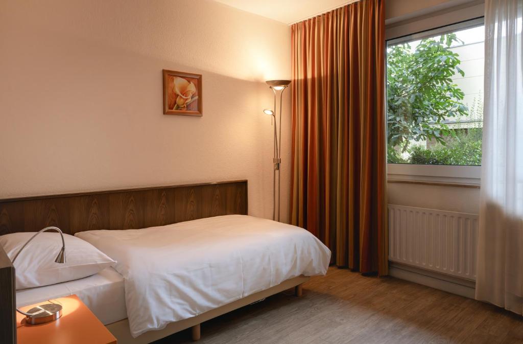 
Single Room Basement Floor
