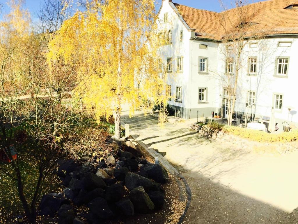 Zahrada ubytování Dein Gutshof Hotel & Ferienwohnungen