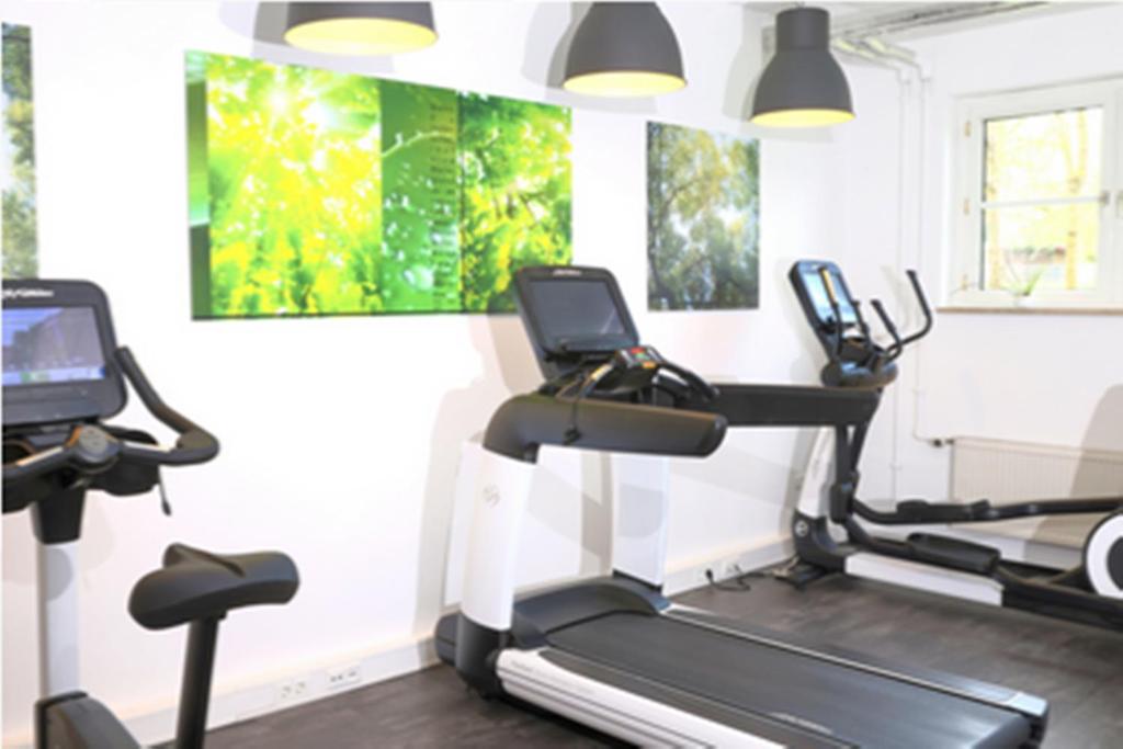 Fitness centrum a/nebo fitness zařízení v ubytování Hotel Alarun