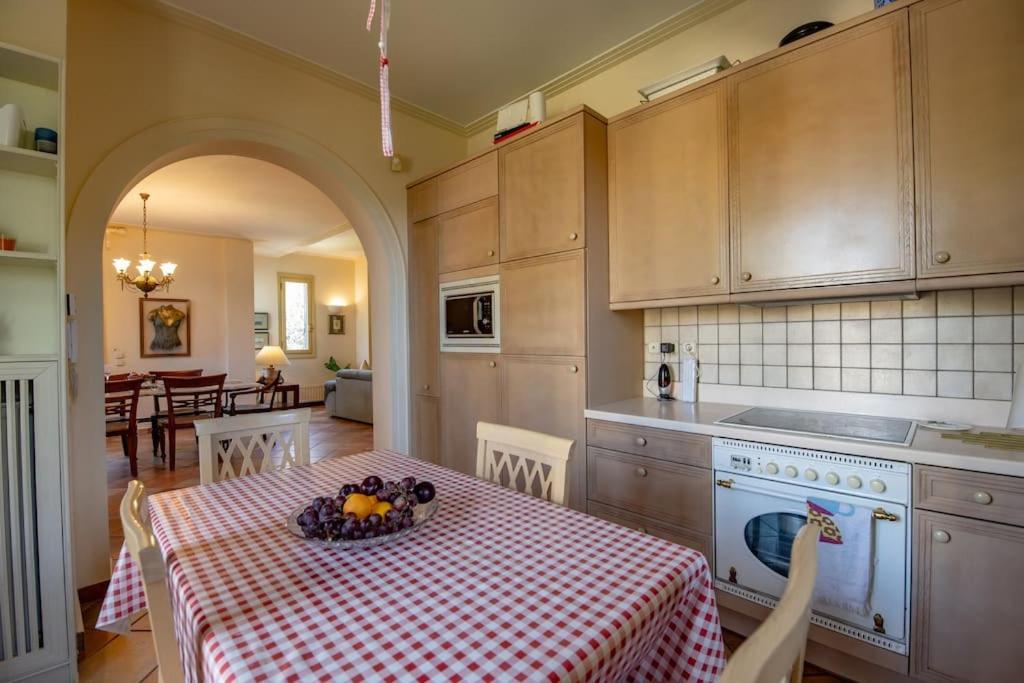 Kuchyň nebo kuchyňský kout v ubytování Villa Elmar