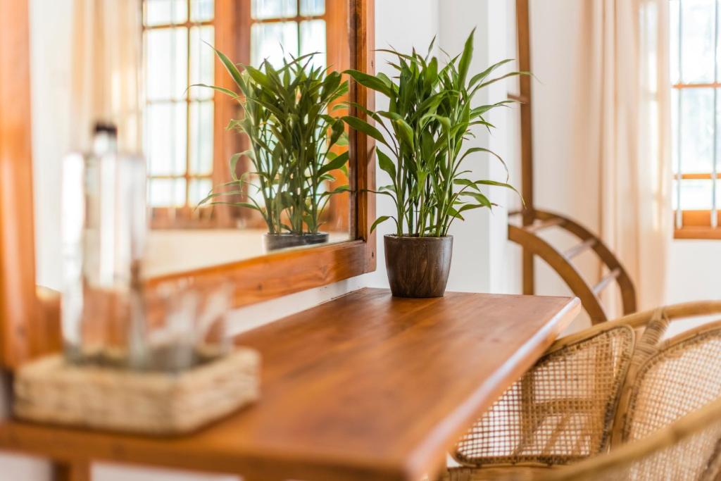 Fotografie z fotogalerie ubytování MAKAI Surf House v destinaci Ahangama