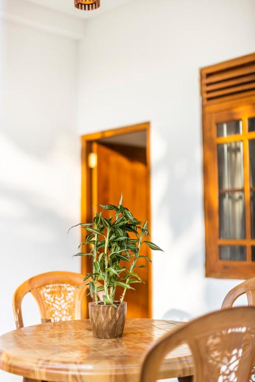 Fotografie z fotogalerie ubytování MAKAI Surf House v destinaci Ahangama