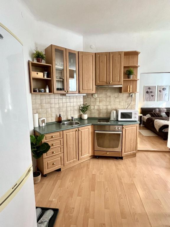 Kuchyňa alebo kuchynka v ubytovaní Apartment Caroline - Old Town, AC