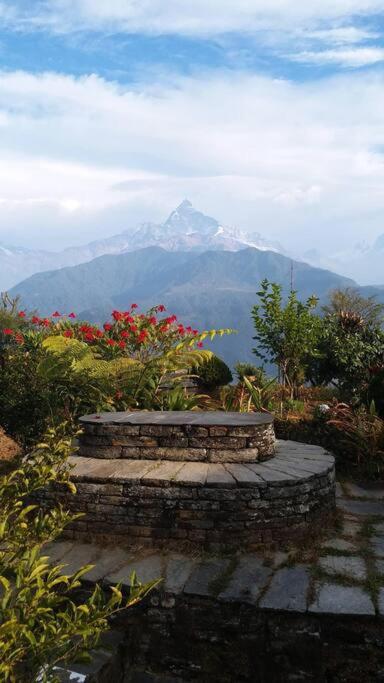 Paesaggio naturale nelle vicinanze dell'affittacamere