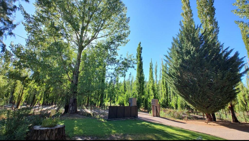 un parque con árboles y césped y una valla en Las margaritas en Uspallata